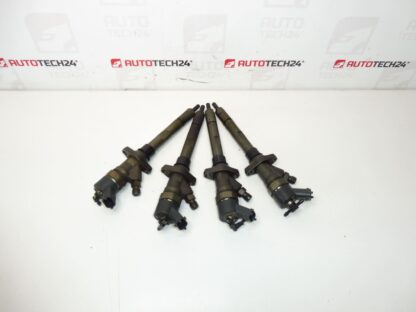 Einspritzset Bosch 2.0 und 2.2 HDI 0445110036 Laufleistung 182000 km