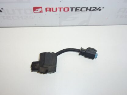 Sensor - Sensor 1.6 eHDI Citroën Peugeot 9689058080 9689057280