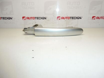 Türgriff hinten Citroën Peugeot Chrom 9101T0